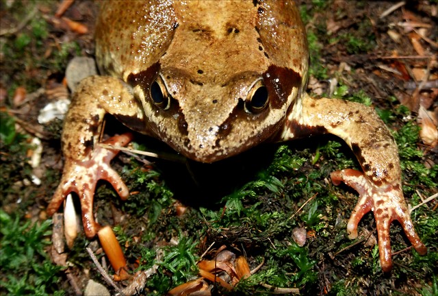 1.