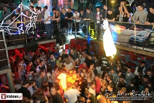 17 listopada 2010 - kotownia