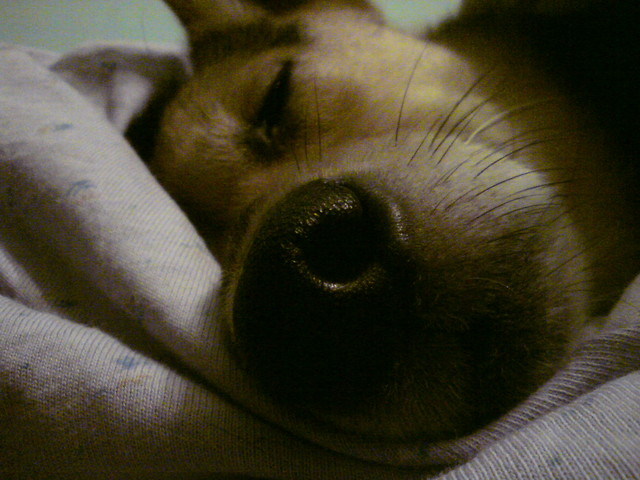 ;P