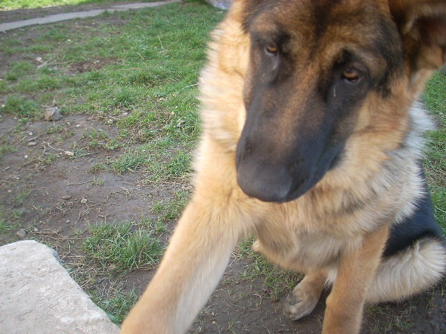 Bela . :*