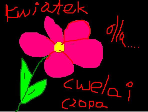 KwiateeeK