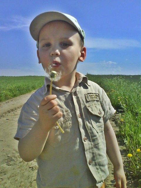        Krzysioo . ; ** 