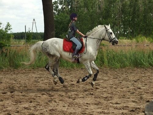 Galop ; *