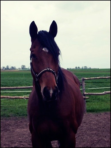 Orvis :)