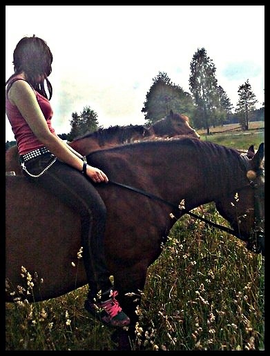Wpis lovehorses12
