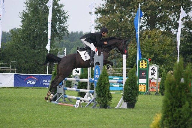 Wpis equestrian