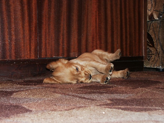 Jakie to byo malekie...:)