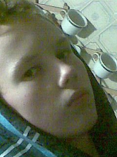 Wpis kamillew