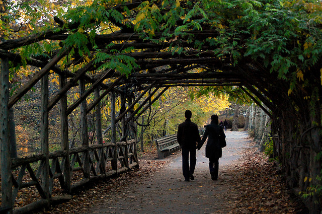 Tunnel of Love(?)