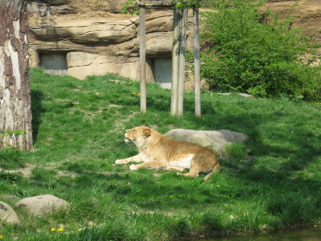 Liepzig Zoo