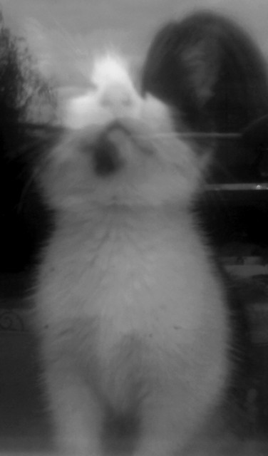 Kocham Ci . !!! ; *** < 333 