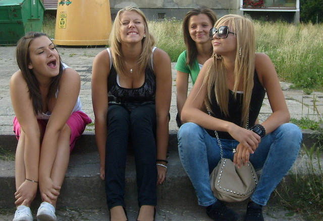 Wpis coquelet