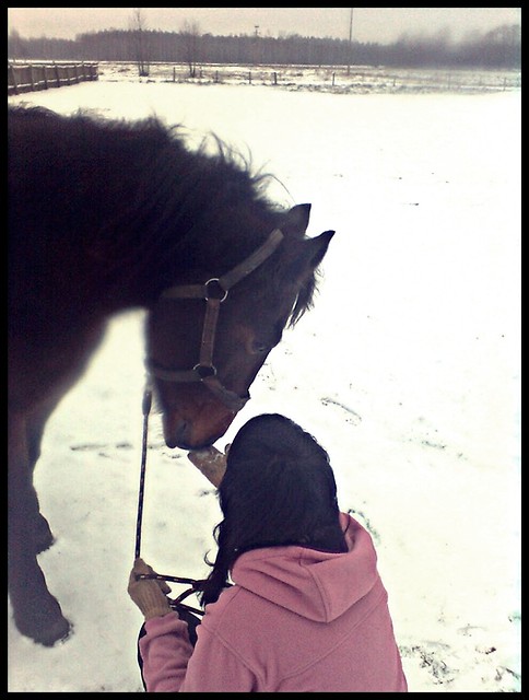 Wpis lovehorses12
