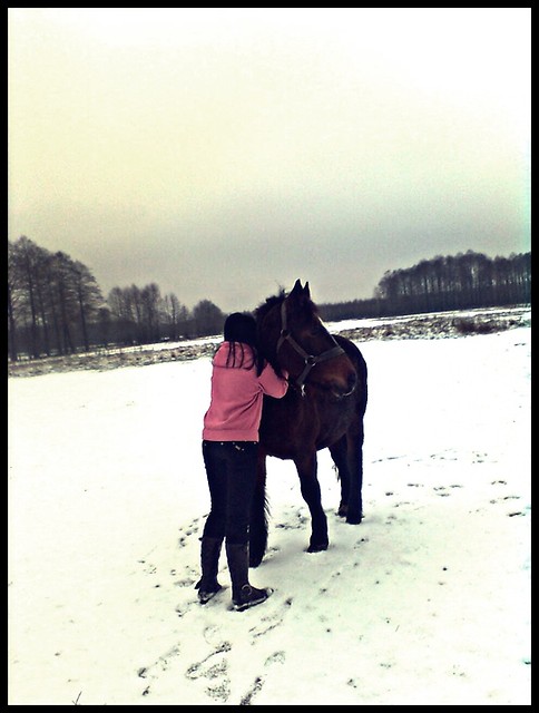 Wpis lovehorses12