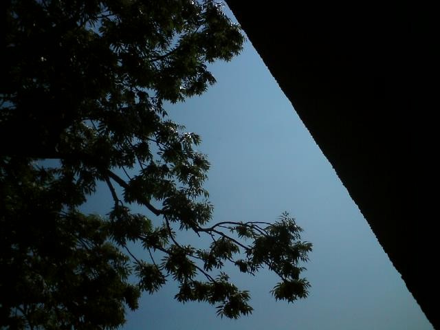 dark side of the blue.........,.
