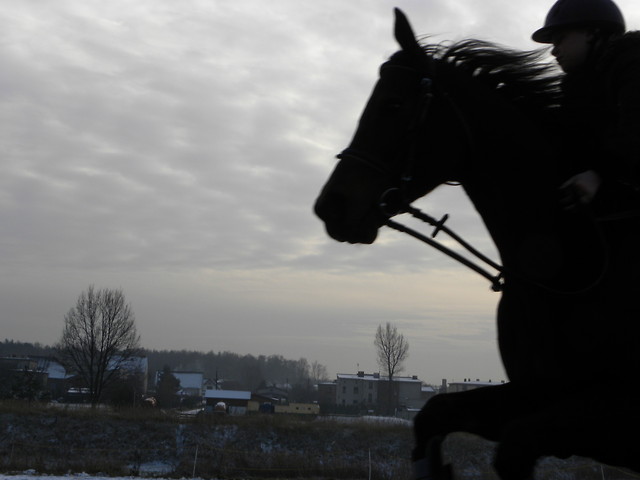 Noskowy