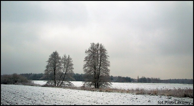 no zima, cig dalszy.....