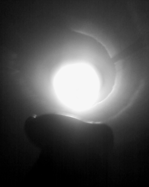 See the Halo