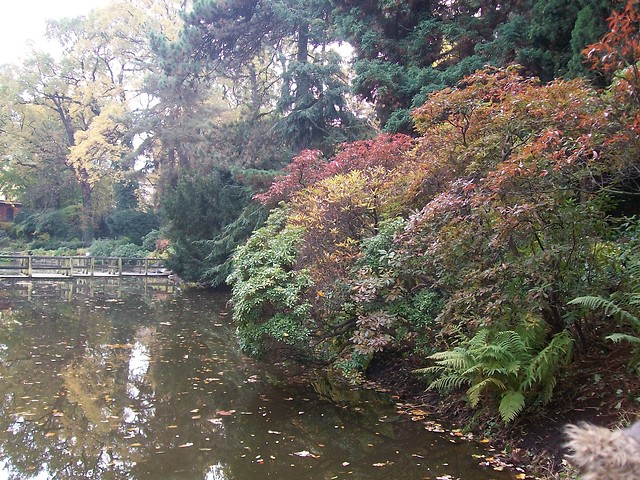 ogrd botaniczny Wrocaw