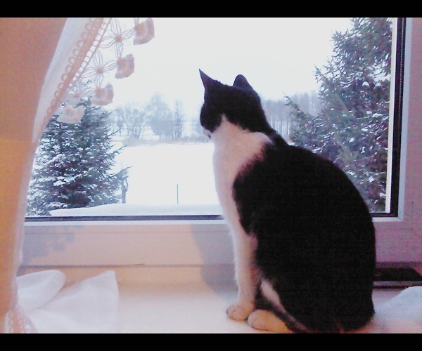 oj tam, oj tam ;P