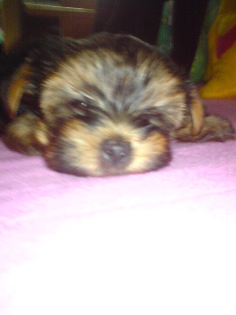Wpis euforiaaax3