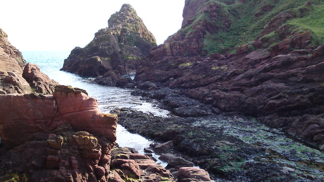 Klify w Arbroath 3
