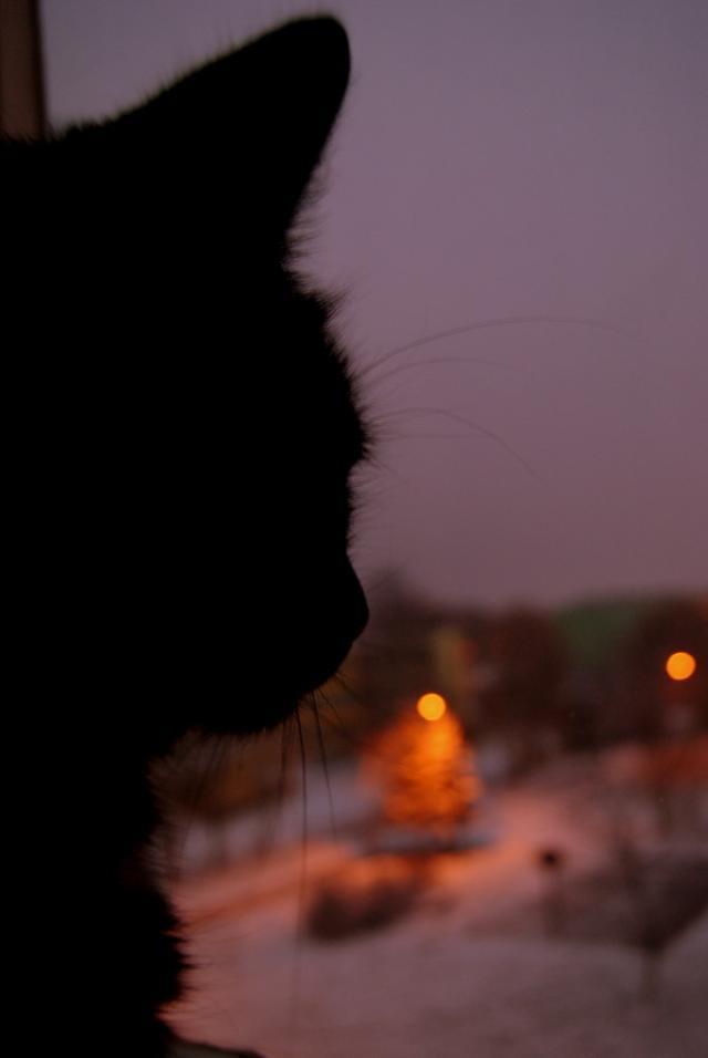 Wpis agnieszkaradtke