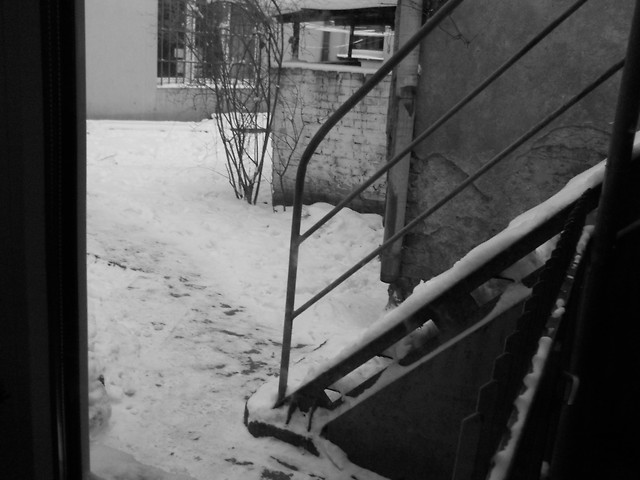 welcome winter !