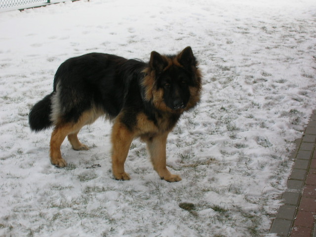 Wpis michalina9896