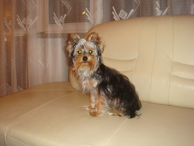 Wpis photogenicznaxd