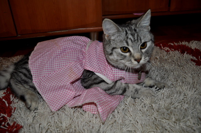Wpis klaudyyna93