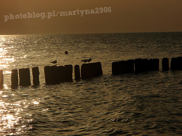 Wpis martyna2906