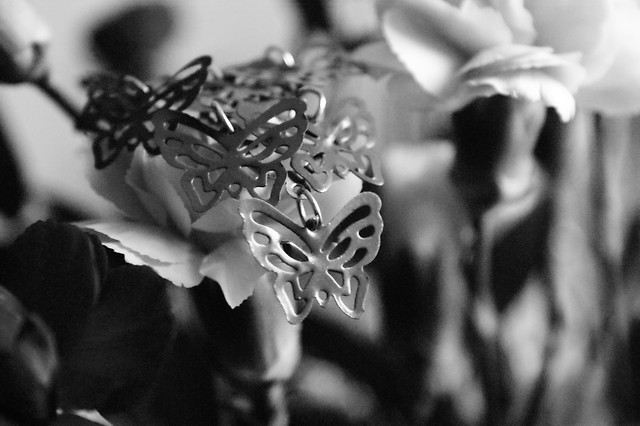 Butterfly...