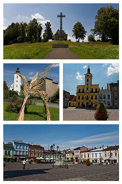 Panorama Skoczowa.