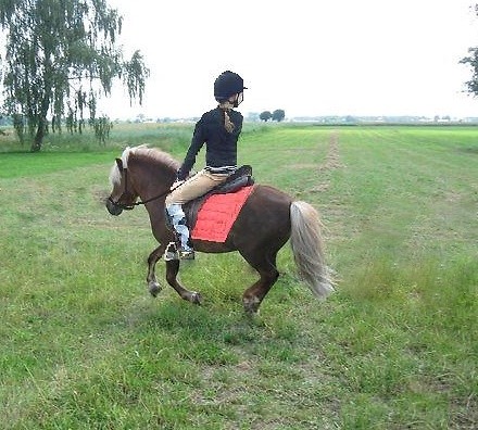 Galop ; *