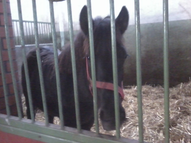 Aramis
