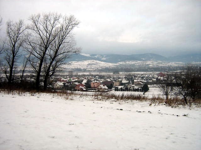 Wpis autsajder15