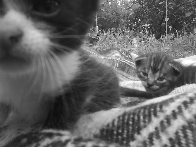 ;D Kootki ;**