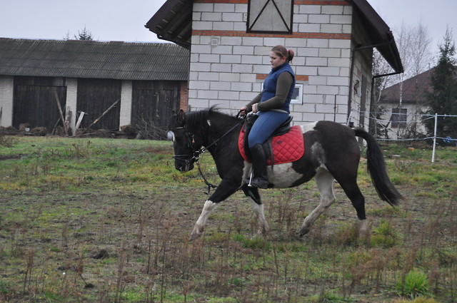 My little Pony