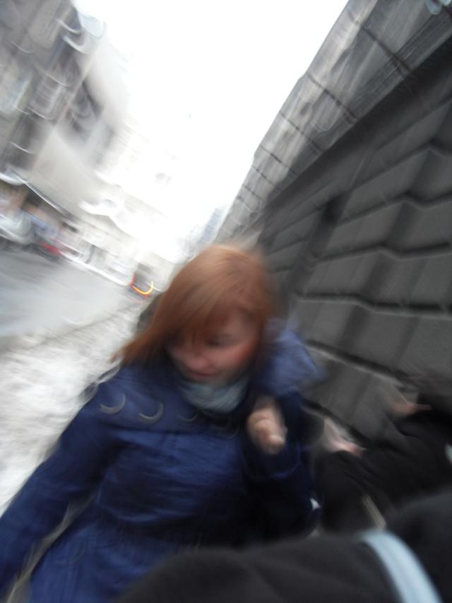 Wpis palitoksyna