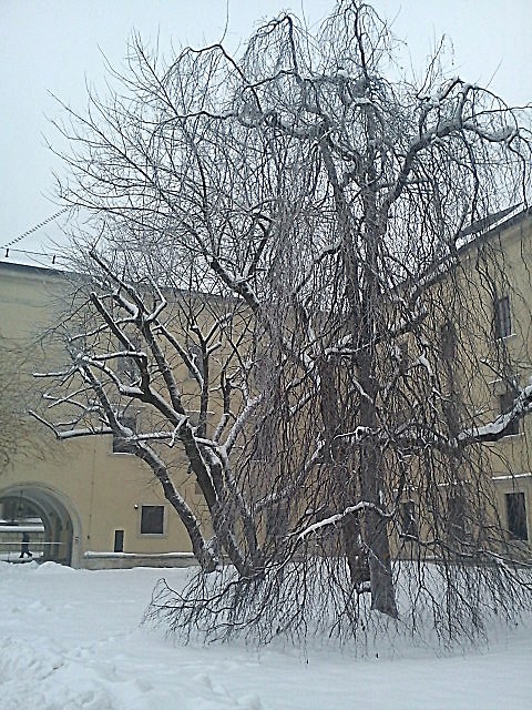 Wpis szufladamoja