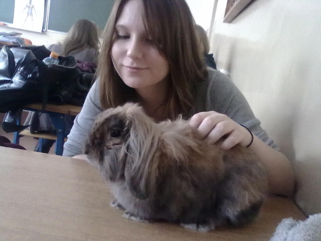 Wpis croissantx3