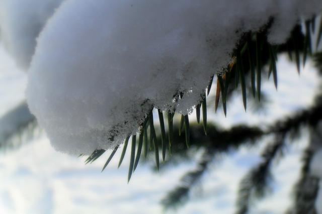 Snow