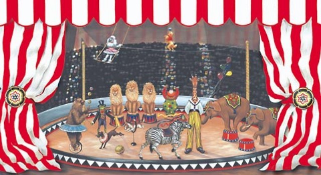 a circus