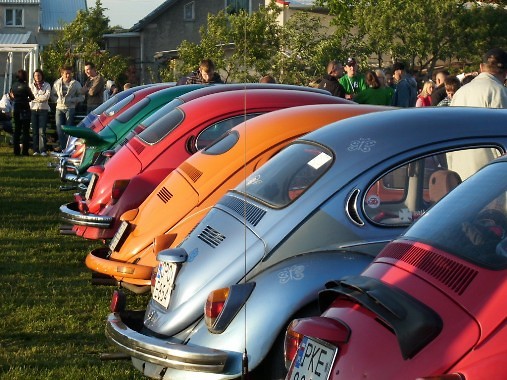 trzcinica 2009