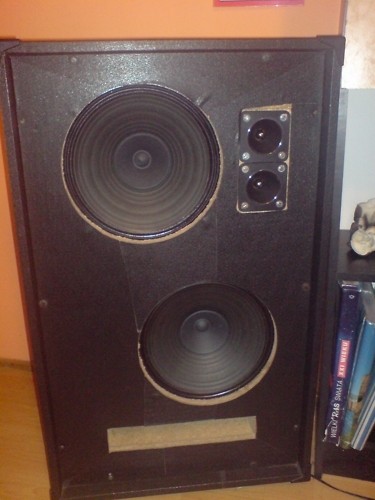 Sylwek 2010/2011