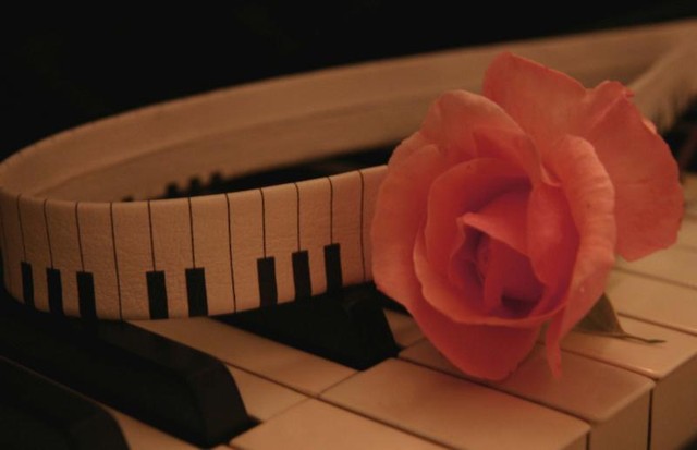 Last Song to Say Goodbye