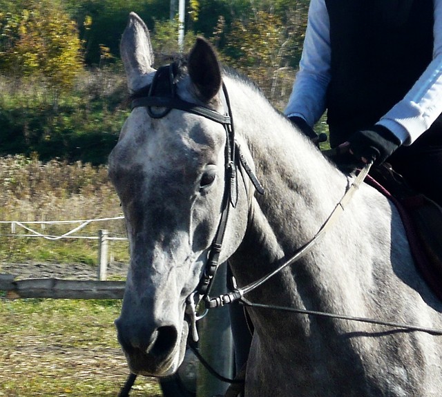 KOka ;*