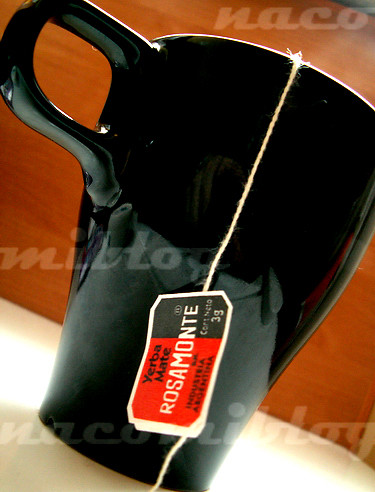 Cocido