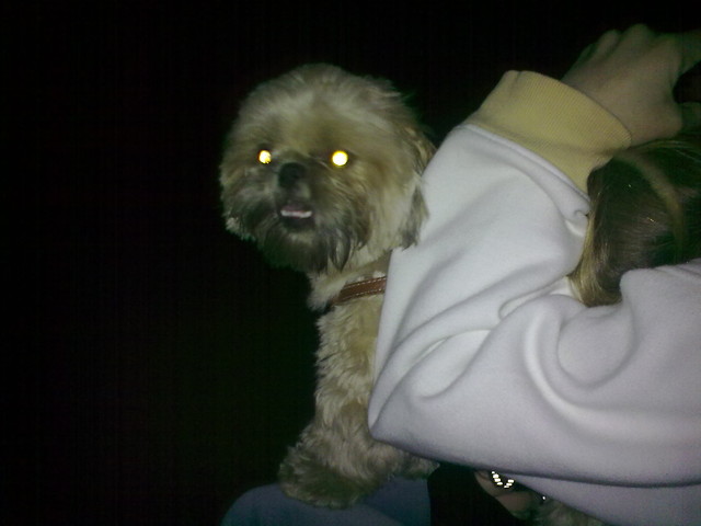Rufi xD